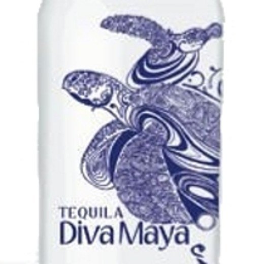 Logo de Diva Maya