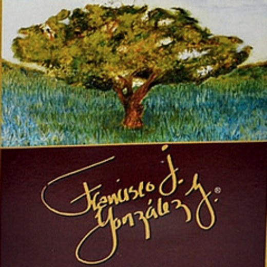 Logo de Francisco J. Gonzalez G