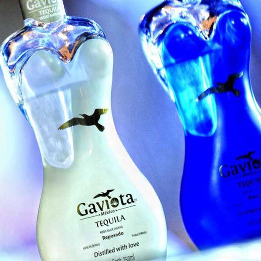 Logo de Gaviota
