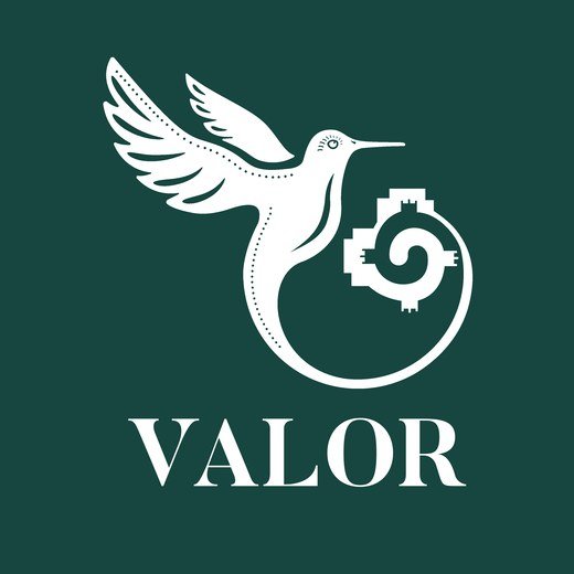 Logo de Valor