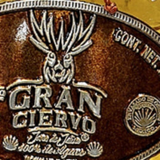Logo de Gran Ciervo Joven de Jalisco