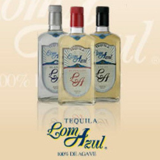 Logo de Loma Azul