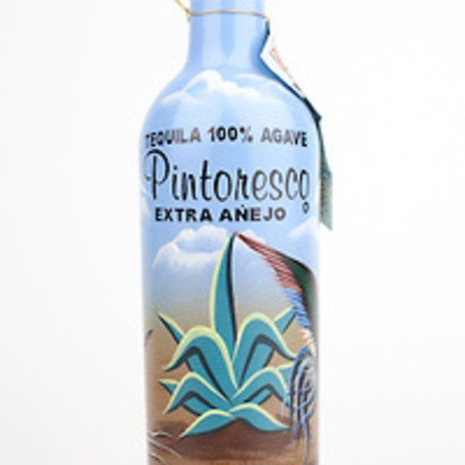 Logo de Pintoresco