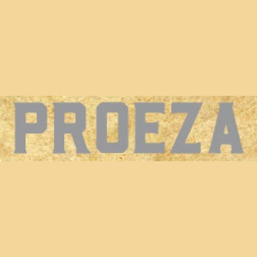 Logo de Proeza