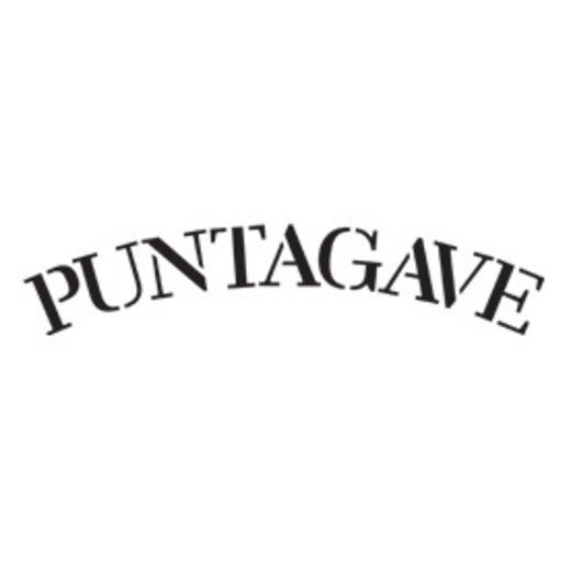 Logo de Puntagave