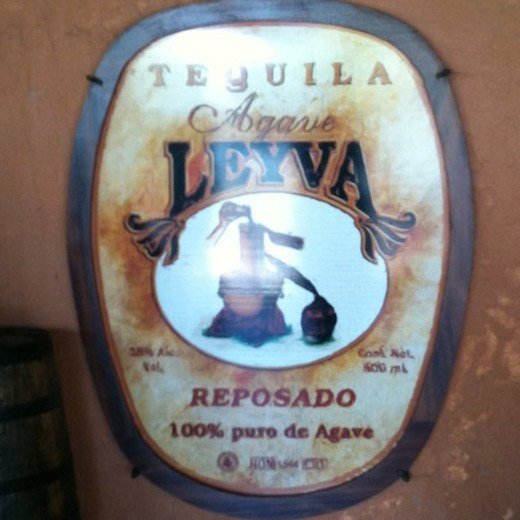 Logo de Agave Leyva