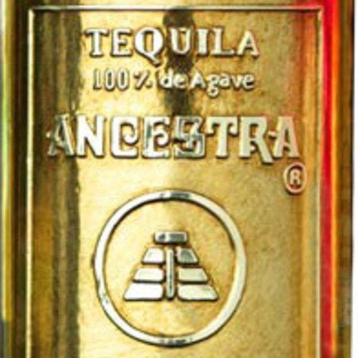 Logo de Ancestra