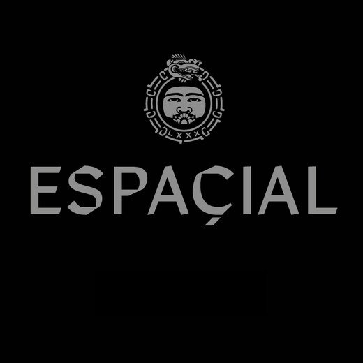 Logo de ESPACIAL