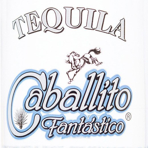 Logo de Caballito Fantastico