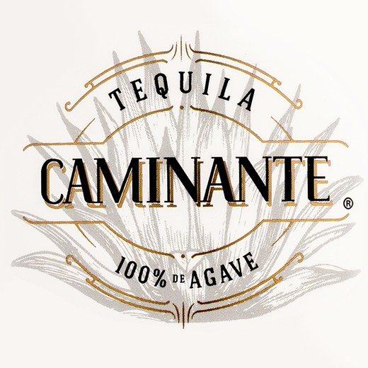 Logo de Caminante