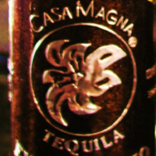 Logo de Casamagna