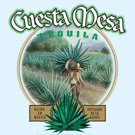 Logo de Cuesta Mesa
