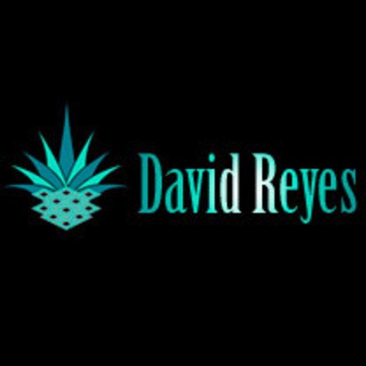 Logo de David Reyes