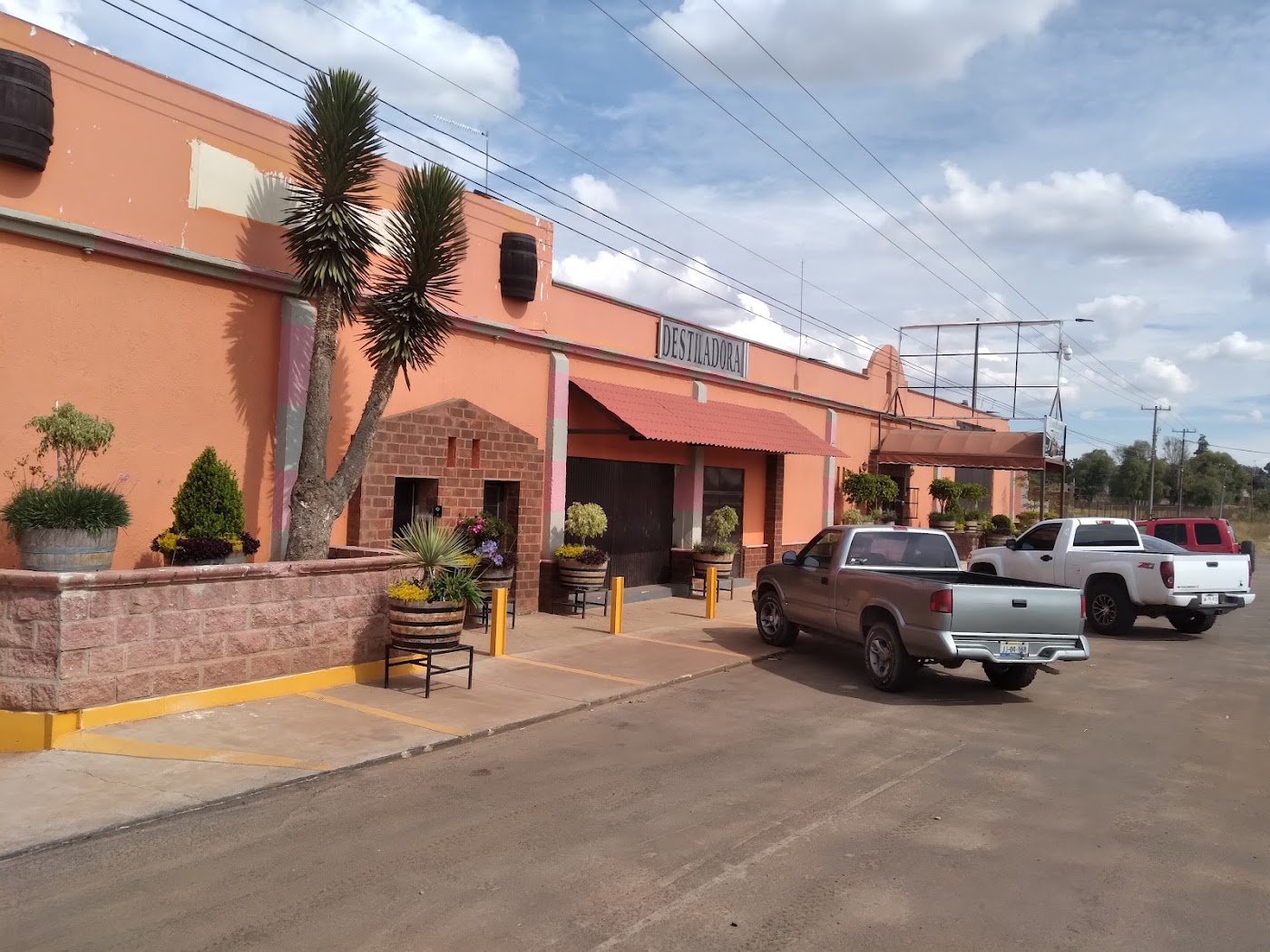 Imagen de Tequilera Punto Azul, S.A. de C.V.