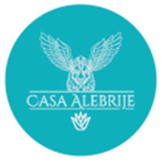 Casa Alebrije