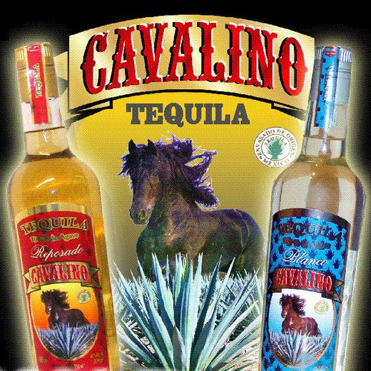 Cavalino