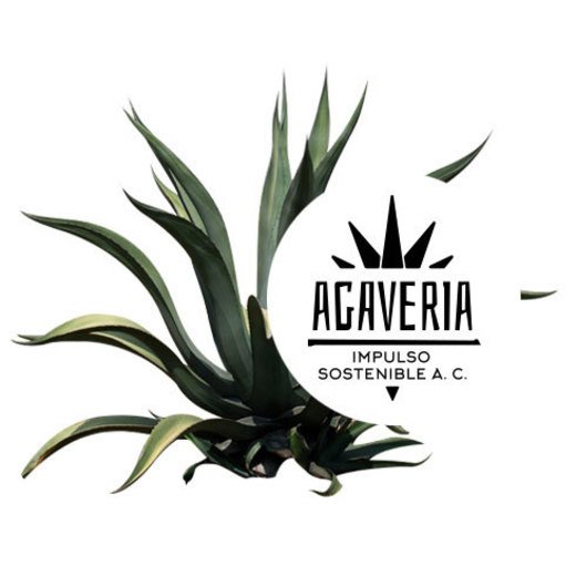 Impulso Sostenible Agaveria