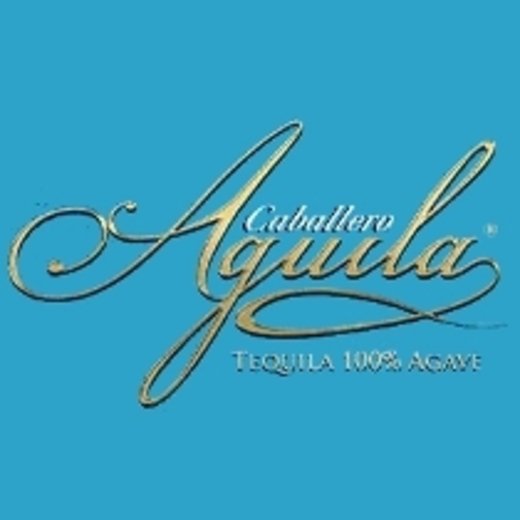 Caballero Aguila