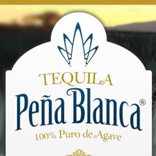 Imagen de Tequila El Tepozan, S.A. De C.V.